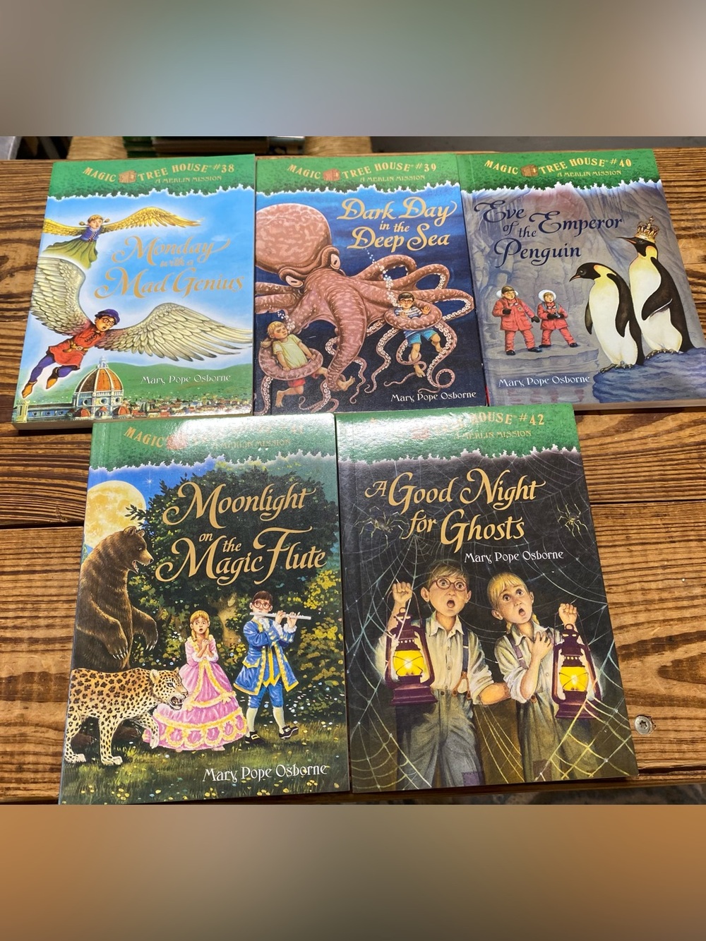 Magic Tree House books #38-42 - All brand new